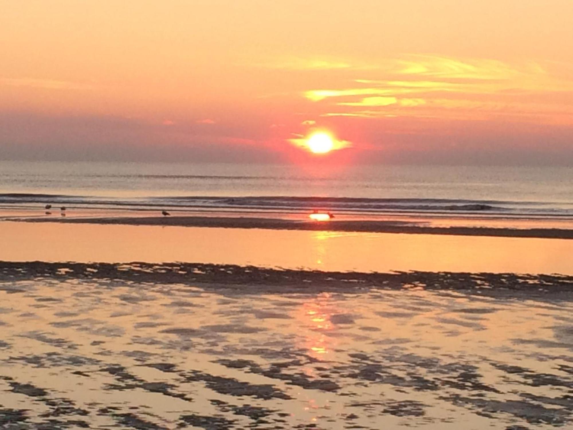 Hotel Noordzee Zandvoort Kültér fotó