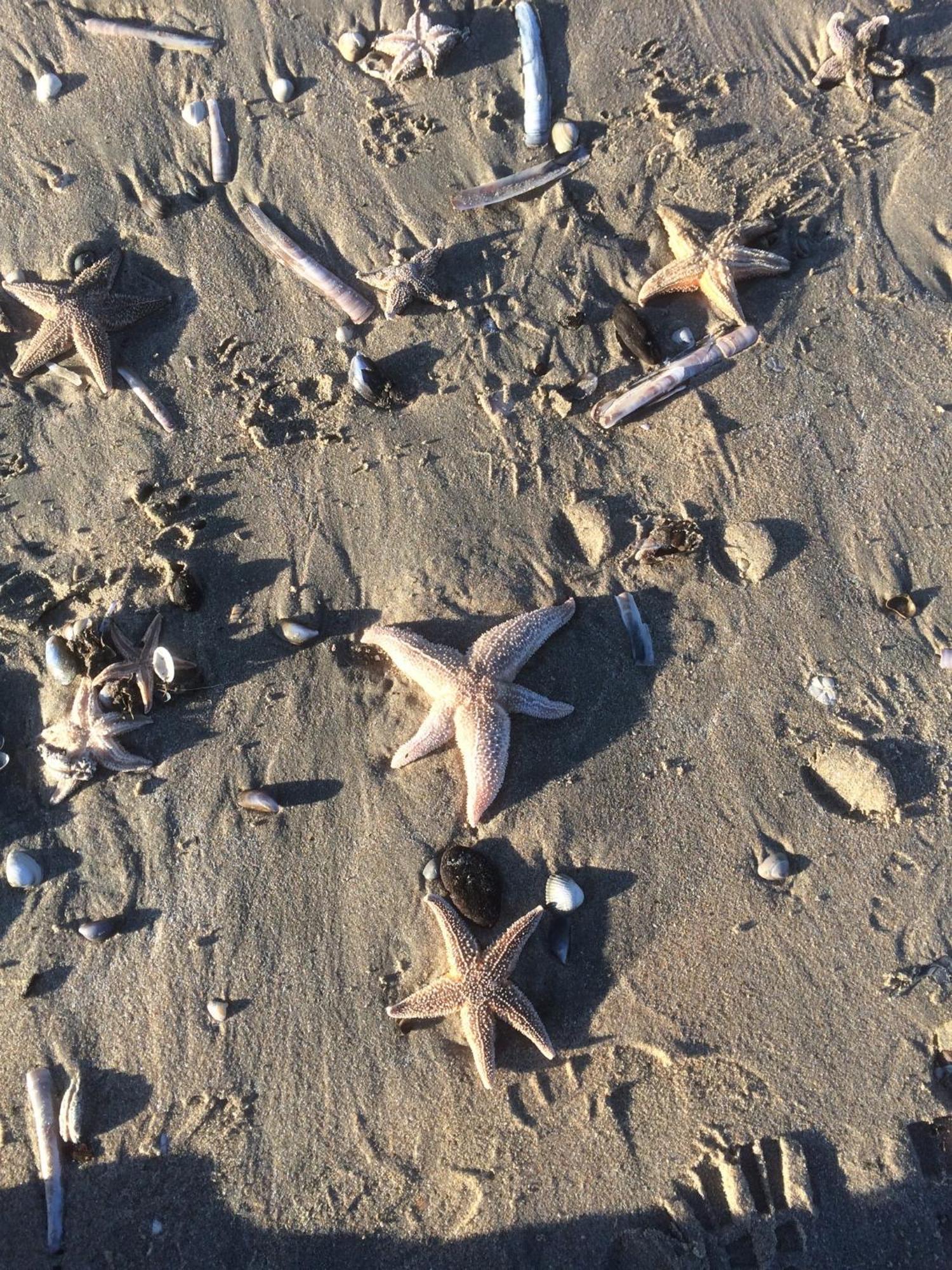 Hotel Noordzee Zandvoort Kültér fotó